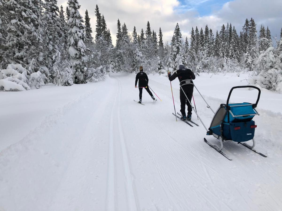 Karolinen Stugor & Laegenheter Åre Kültér fotó